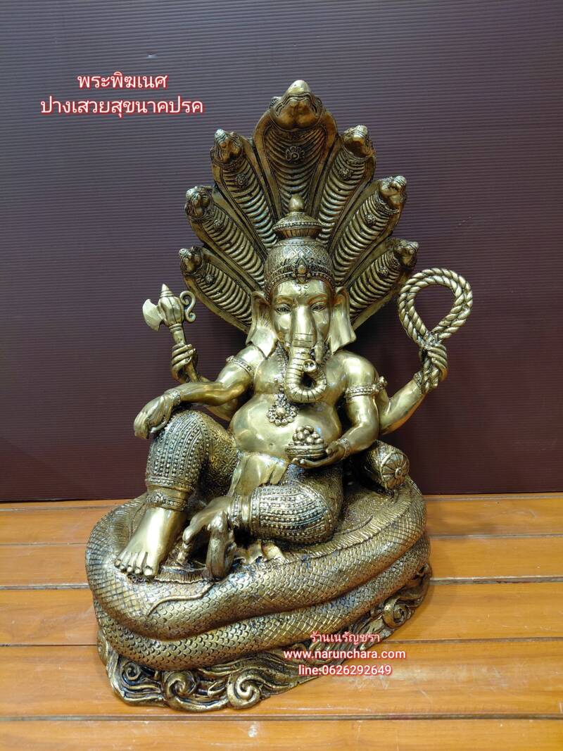 SNOW_20260113_103639_599